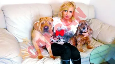 Vrea o casa mai mare pentru animalute