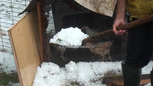 Furtunile cu grindină au făcut prăpăd în judeţul Suceava! Mai multe localităţi au fost acoperite cu gheaţă
