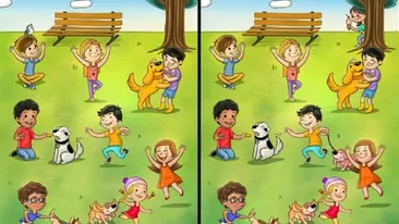 Test IQ pentru români: Câte diferențe există între cele două poze