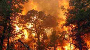 Cel putin patru morti si peste 700 de case distruse in incendiile din Texas