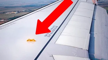 Secretele avioanelor pe care stewardesele nu ti le spun! Ce este triunghiul negru imprimate si de ce geamurile au GAURI in ele