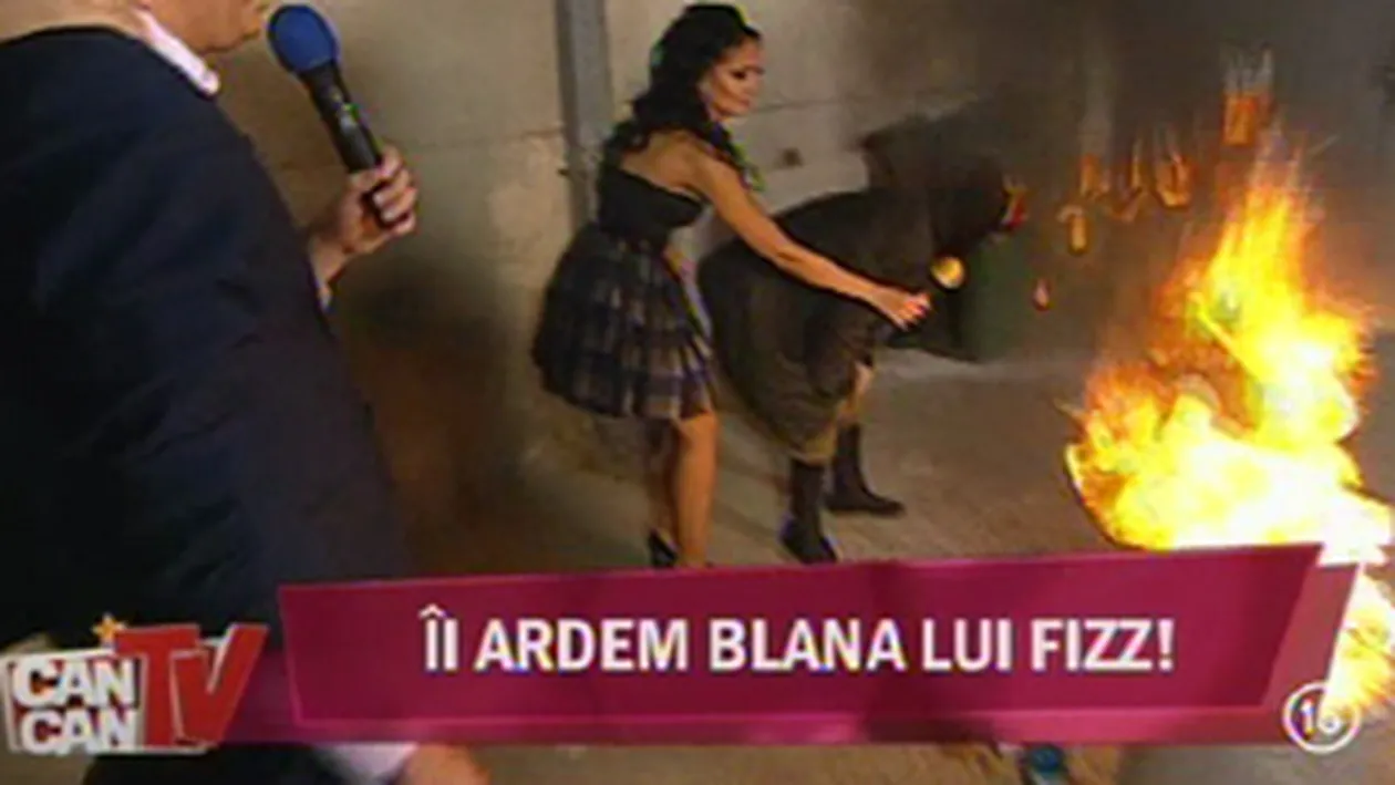 Bob Taylor nu a reusit sa scape definitiv de 'Fizz'! Vezi ce comentariu rautacios a facut pe Facebook!