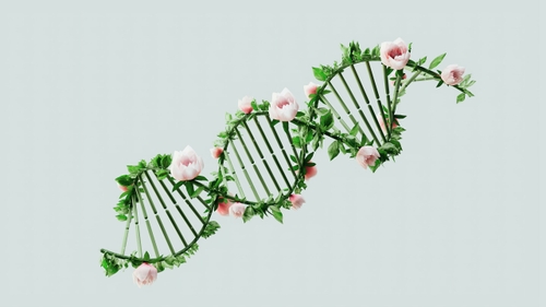 Cât din durata vieții este determinată de gene? Un nou studiu schimbă perspectiva