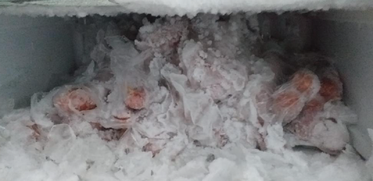 Bătrâni hrăniți cu alimente expirate și carne cu mucegai la un cămin din Bistrița Năsăud. ANPC a luat măsuri dure