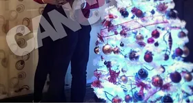 Galerie foto - poza 2