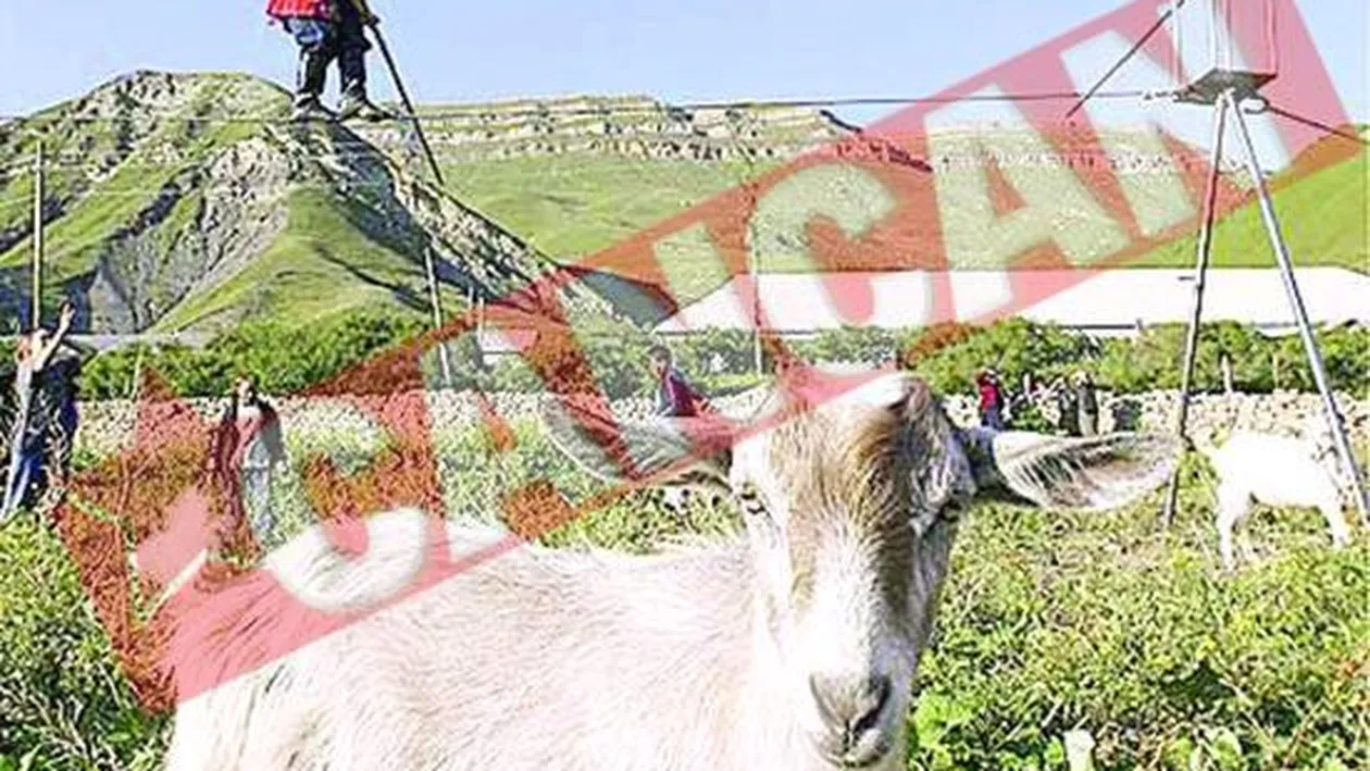 Tot satul merge pe sarma