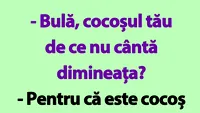 BANC | Bulă, cocoșul tău de ce nu cântă dimineața?