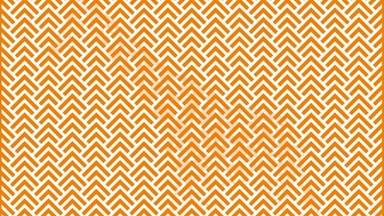 Iluzie optică virală | Ce se ascunde în această poză?