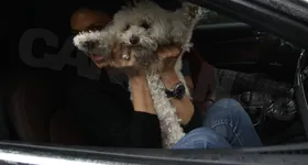 Galerie foto - poza 3