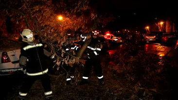 Mașini avariate, copaci, stâlpi și panouri căzute în București, din cauza vântului puternic
