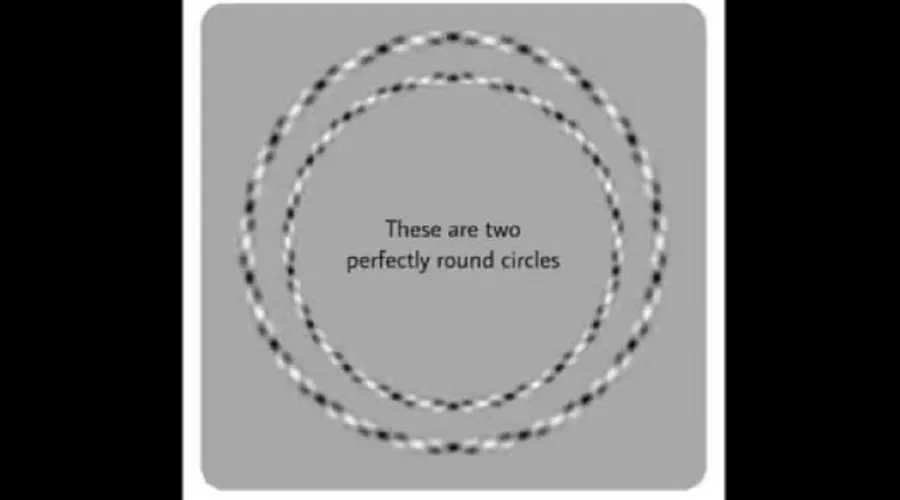 Iluzia optică ce îţi testează IQ-ul. Câte cercuri vezi în această imagine?