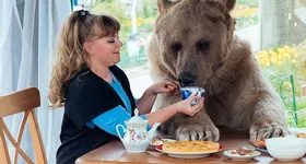 Galerie foto - poza 1