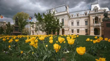 Isabela Dănălache, fostă dansatoare la bară în Italia, apărată de Primăria Iași: “Nu a încălcat nicio lege”