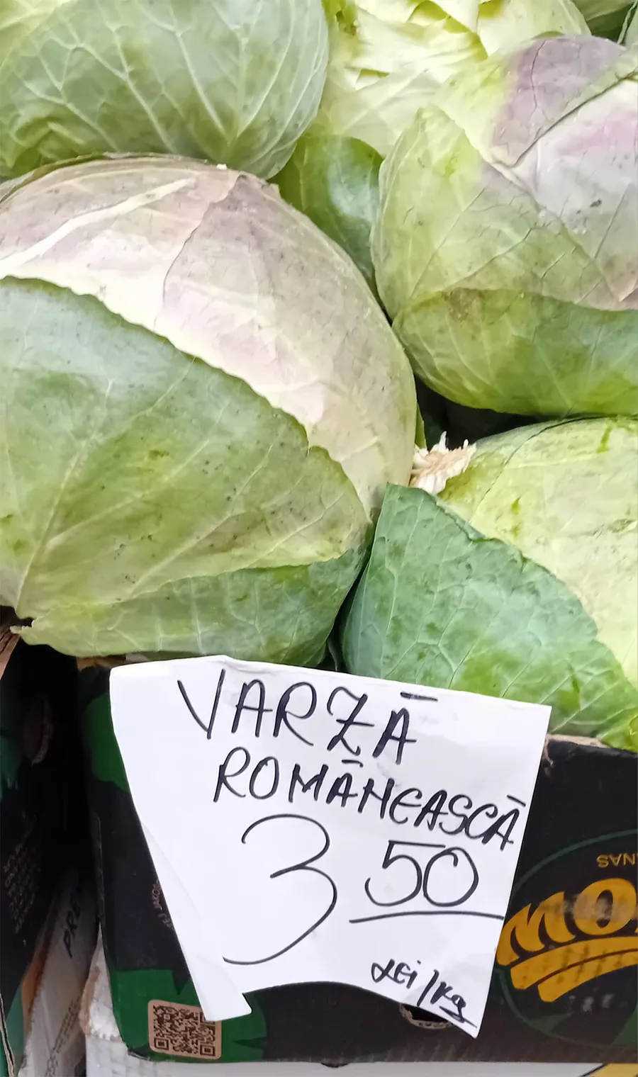 varza romaneasca