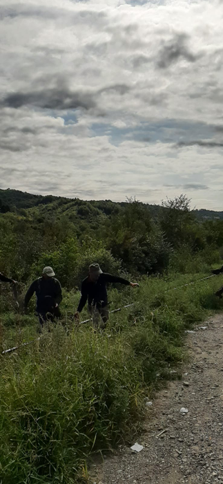 Ursoaica și puiul, uciși de tren! Marfarul i-a lovit când traversau calea ferată