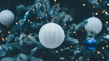 Tendințele în materie de brad de Crăciun. Culorile-vedetă ale anului 2022 