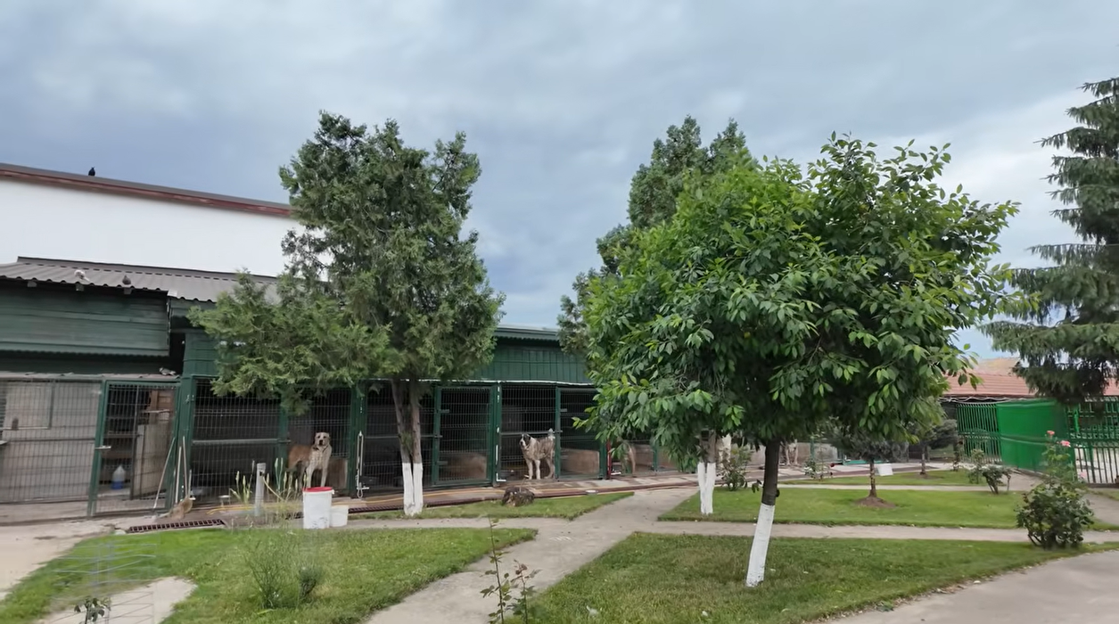 Acasă la Nuțu Cămătaru. Cum arată domeniul de 5 hectare din Rahova? Specii inedite de animale și cea mai mare piscină din București