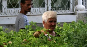 Galerie foto - poza 3