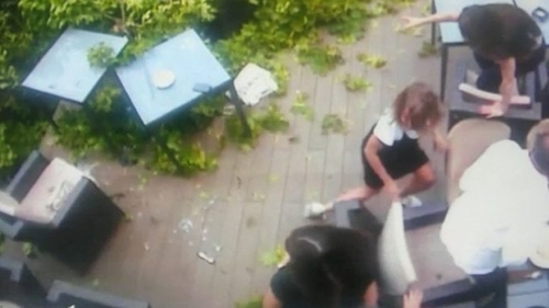 FOTO. Un copac a căzut peste o terasă plină cu clienţi, în Livada Poștei, din Brașov