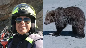 Ultimele clipe ale turistului italian ucis de ursoaică au fost terifiante: ”A fost atât de furioasă...”
