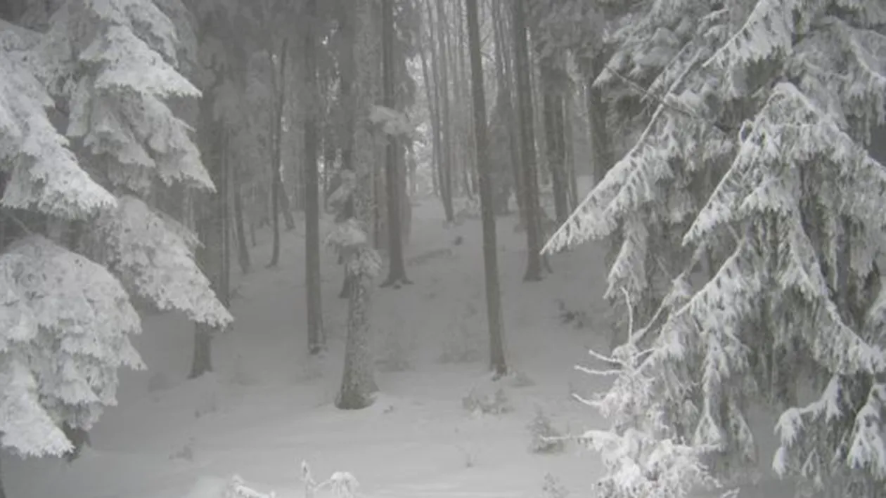 METEO 23 IANUARIE. Afla cum va fi vremea sambata inainte sa iesi din casa