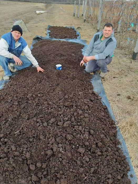 Afacerea cu râme presupune să lucrezi îndeaproape cu pământul