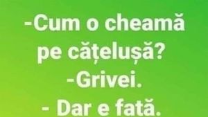 BANCUL ZILEI | "Cum o cheamă pe cățelușă?"