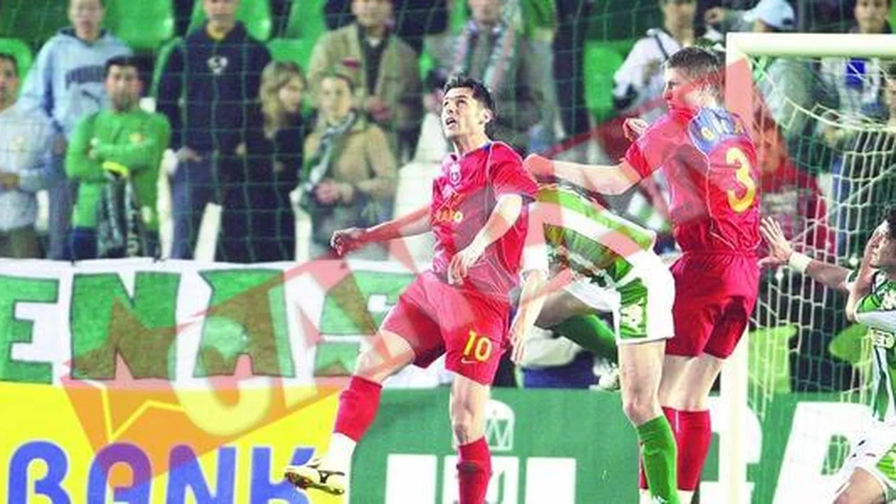 Radoi, Dica si Goian la vanzare