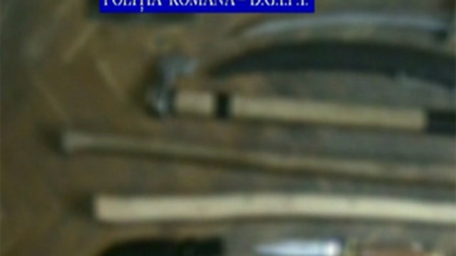 Romania, ca pe timpul lui CAPONE! Clanul Duduienilor, arestati dupa o rafuiala ca in filmele cu cutitari! Fiorosul Nelson "rupea amenzi" de mii de euro!