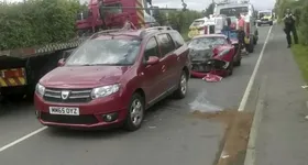 Galerie foto - poza 2