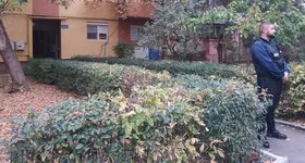 Galerie foto - poza 3