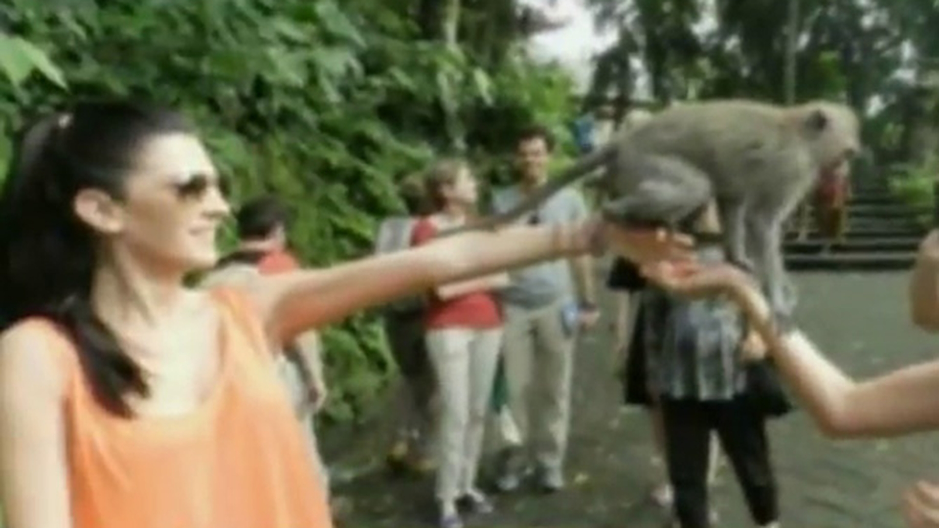 Adrian Ropotan si Raluca Ogica, vacanta de vis in Bali! Au hranit maimutele cu banane si s-au distrat la maximum!