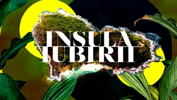 Moment extrem de emoționant la Insula Iubirii! Telespectatorii au înmărmurit când au văzut ce a apărut pe ecran