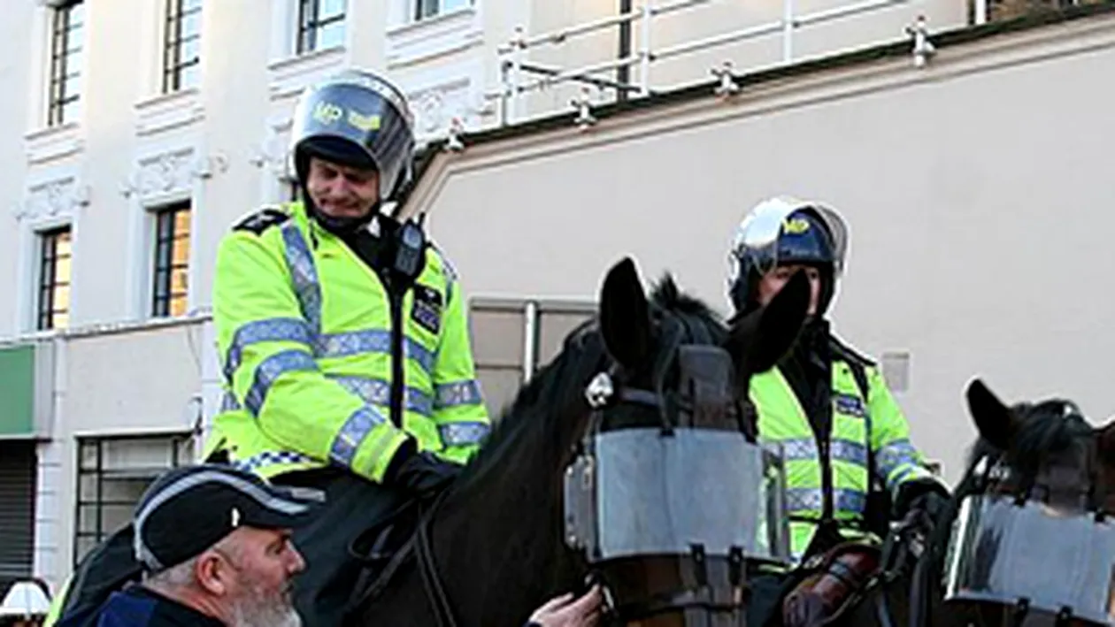 Ce crezi ca se intampla cu caii jandarmeriei si cainii politisti cand ies la pensie? Sunt omorati pe loc!