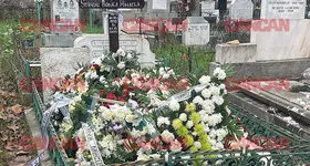 Galerie foto - poza 2