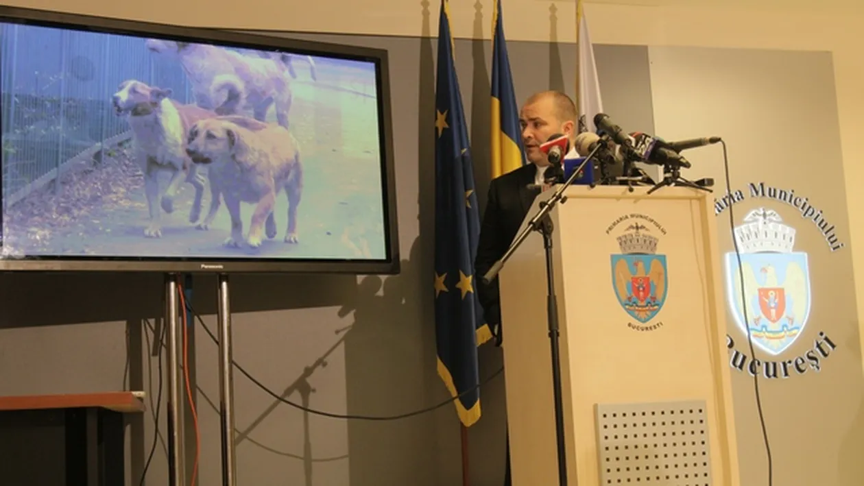 Autoritatile au gasit solutia pentru o Capitala fara caini! „Luna trecuta s-a inregistrat cel mai mic numar de muscaturi!'