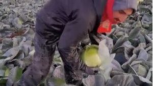 Român plecat la muncă în Anglia, mesaj dur pentru prieteni: “Aici lucrez prin gheață, frig, zăpadă… Stați cu mine aici ca să vă dau bere, de Crăciun, când mă întorc acasă?!”