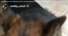 Galerie foto - poza 1