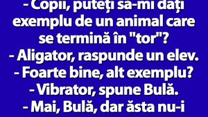 BANCUL ZILEI | Profesoara: "Bulă, dă-mi exemplu de un animal care se termină în TOR!"