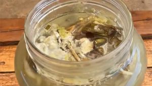 Câte luni rezistă murăturile în borcan, de fapt, până să facă floare