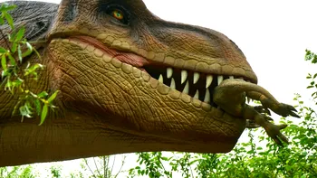 Tyrannosaurus rex avea pene? Descoperirile din China care au schimbat imaginea „reptilei perfecte”