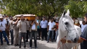 Este incredibil ce a făcut un cal când stăpânul a fost înmormântat: ”Parcă înțelegea ce se întâmplă!” VIDEO