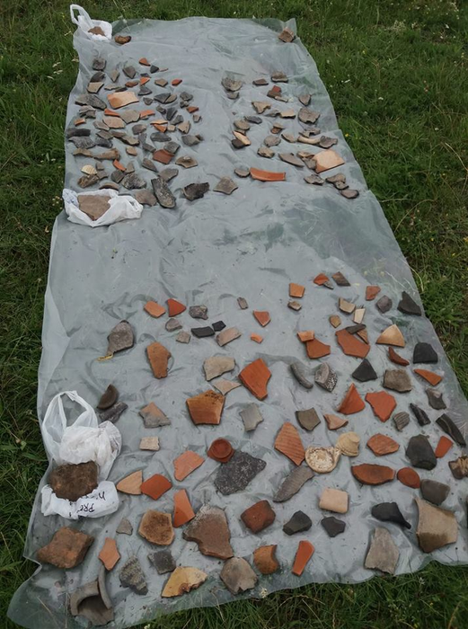 O mică parte din descoperirile arheologice de la Romula