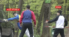 Galerie foto - poza 2