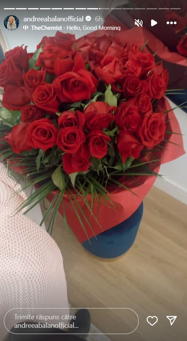 Andreea Bălan a fost luată prin surprindere de Valentine’s Day. Ce cadou a primit de la tenismenul Victor Cornea