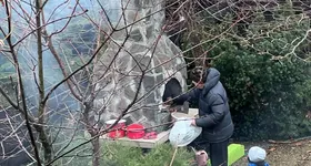 Galerie foto - poza 2