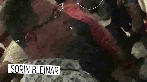 EXCLUSIV. Se confirmă legăturile dintre ei! ”Regele-milionar al vagoanelor”, şpriţ + anturaj la mare cu fostul şef al ANAF