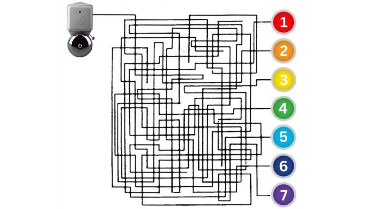 Test de inteligență exclusiv pentru genii | Care buton este conectat la sonerie?
