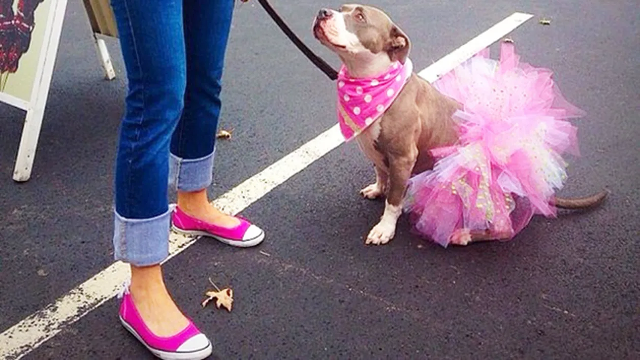 Ultima „fiţă“ în materie de fashion face ravagii printre iubitorii de animale. Foto ce fac stăpânii de câini şi pisici