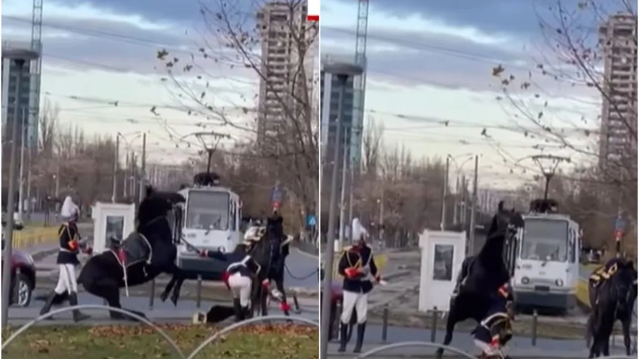 Jandarmul care a căzut de pe cal, la parada de 1 Decembrie, a consumat băuturi alcoolice. Este cercetat de Parchetul Militar